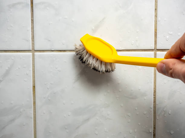 Best Fast Mold Removal  in Sparta, MI