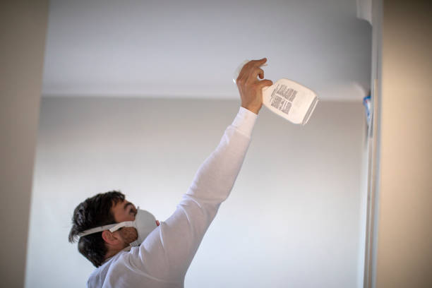 Reliable Sparta, MI Mold Removal Solutions